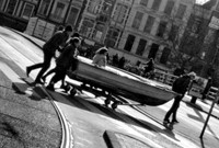 Tulipifera Photography, photographe Poissy